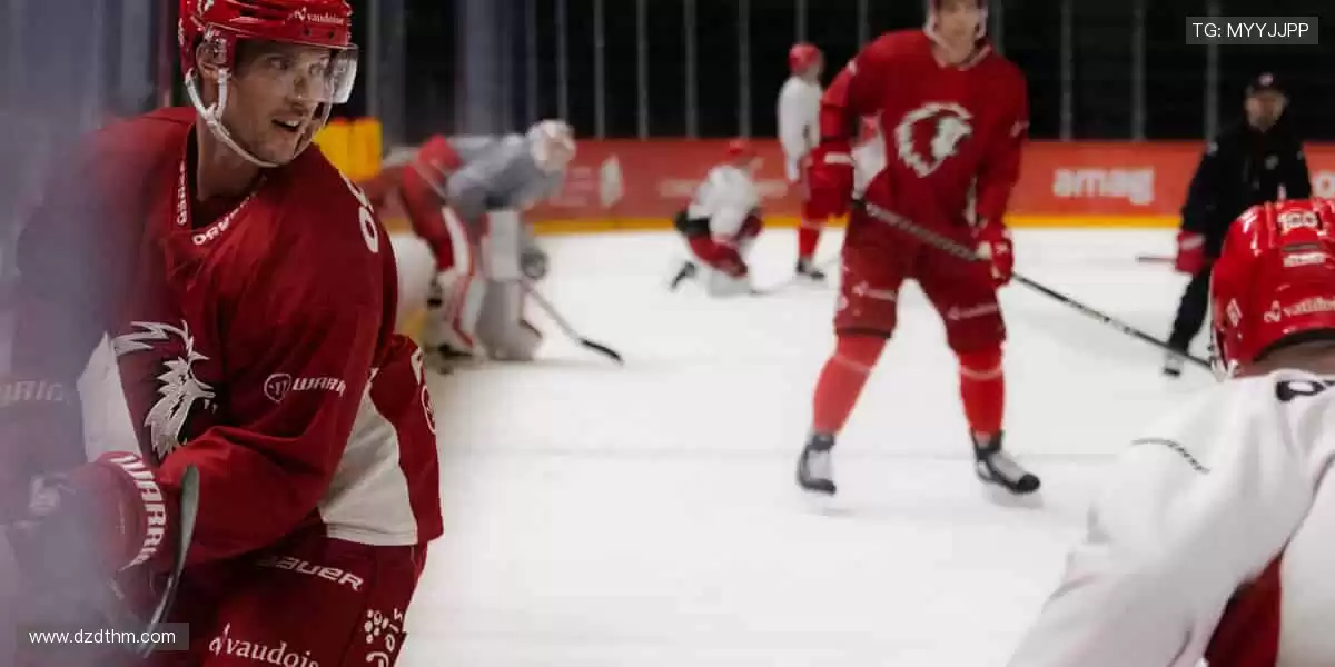 正品周边，球迷专属荣耀！🎁🏆